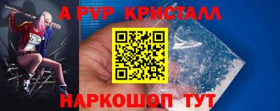 мдпв Камышлов