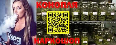 мдпв Камышлов