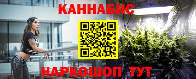 мдпв Камышлов