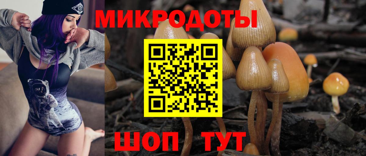 Дагестанские Огни  купить   Галлюциногенные грибы Psilocybine cubensis  Вход с VPN  Псилоцибиновые грибы мицелий 